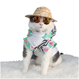 Zonnebril voor Kleine Honden of Katten