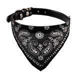 Bandana voor Kleine Honden of Puppy's.