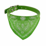 Bandana voor Kleine Honden of Puppy's.