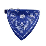 Bandana voor Kleine Honden of Puppy's.