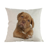 Kussenhoezen (puppy's)
