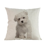 Kussenhoezen (puppy's)