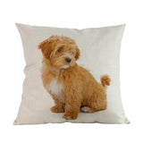 Kussenhoezen (puppy's)