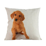 Kussenhoezen (puppy's)