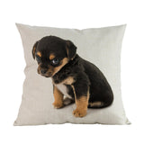 Kussenhoezen (puppy's)