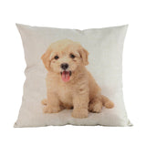Kussenhoezen (puppy's)