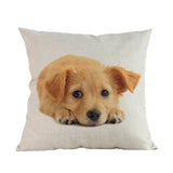 Kussenhoezen (puppy's)