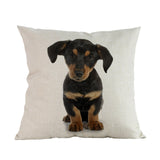 Kussenhoezen (puppy's)