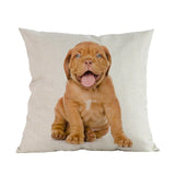 Kussenhoezen (puppy's)