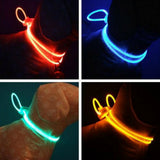 Kleurrijke Nacht(halsband) met Verlichting