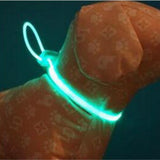 Kleurrijke Nacht(halsband) met Verlichting