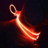 Kleurrijke Nacht(halsband) met Verlichting
