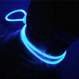 Kleurrijke Nacht(halsband) met Verlichting