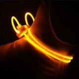 Kleurrijke Nacht(halsband) met Verlichting