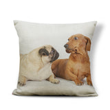 Schattige Kussenhoezen | Bulldog, Labrador, Chihuahua..